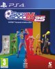 Sociable Soccer 25 Русская Версия (PS4)
