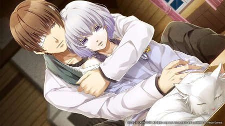 игра Norn9: Last Era Ограниченное издание (Limited Edition) (Switch) для Nintendo Switch
