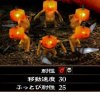 Army Corps of Hell (PS Vita)