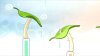 El Shaddai: Ascension of the Metatron (Xbox 360)