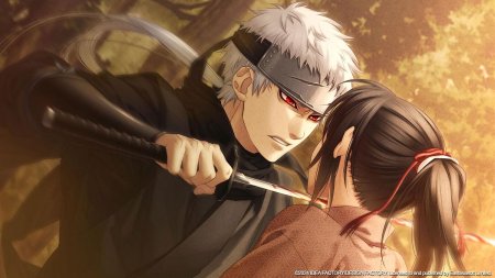 игра Hakuoki: Chronicles of Wind and Blossom (Switch) для Nintendo Switch
