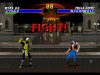Mortal Kombat 3 (Мортал Комбат 3) Ultimate Fighting Game (16 bit) 