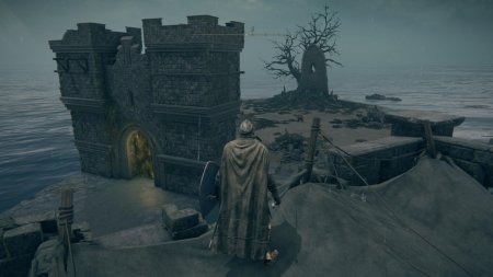 Игра Elden Ring (PS4/PS5) Playstation 4