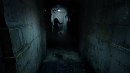 Horror Tales: The Wine Русская Версия (PS5)
