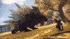 Wild Hearts (PS5)