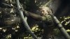 Dragon’s Dogma II (2): Dark Arisen Русская Версия (PS5)