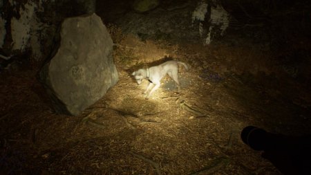  Blair Witch   (PS4) Playstation 4