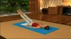   Daisy Fuentes Pilates Tone Strengthen And Ttransform Your Body (Wii/WiiU)  Nintendo Wii 