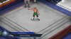 Игра Fire Pro Wrestling World (PS4) Playstation 4