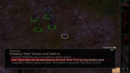 игра Baldur's Gate and Baldur's Gate 2 (II): Enhanced Editions Русская Версия (Switch) для Nintendo Switch