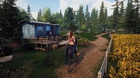 Игра Windstorm: Start of a Great Friendship (PS4) Playstation 4