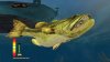 Купить игру Rapala Pro Bass Fishing + Аксессуар удочка, поддерживает PlayStation Move (PS3) для Sony Playstation 3