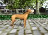 Dog's Life (PS2) USED Б/У