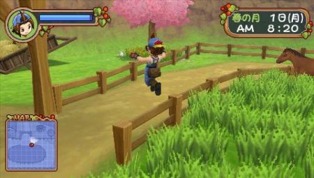  Harvest Moon: Hero of Leaf Valley (PSP) 