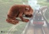  Мягкая игрушка The Noble Collection: Шоколадная лягушка (Chocolate Frog) Гарри Поттер (Harry Potter) 21 см + Подушка 36 см
