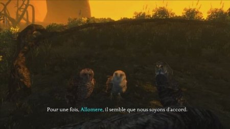 Legend of the Guardians: The Owls of Ga'Hoole (Легенды ночных стражей) (XBox 360) USED Б/У