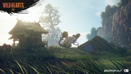 Wild Hearts (PS5)