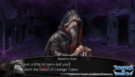 Stranger of Sword City (PS Vita)