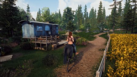 Игра Windstorm: An Unexpected Arrival (PS4) Playstation 4