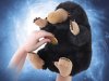  Мягкая игрушка The Noble Collection: Нюхлер (Niffler) Фантастические Твари и Где Они Обитают (Fantastic Beasts and Where to Find Them) (Со звуком) 23 см