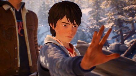 Игра Life is Strange 2 Коллекционное издание (Collector’s Edition) Русская Версия (PS4) Playstation 4