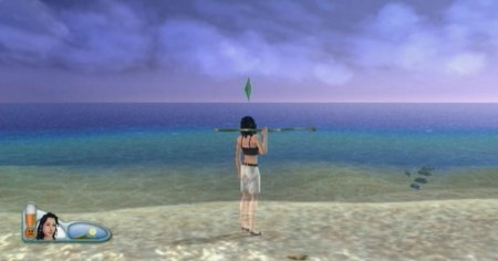   The Sims 2: Castaway () (Wii/WiiU)  Nintendo Wii 