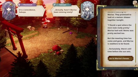 игра Marisa of Liartop Mountain (Switch) для Nintendo Switch