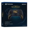 Геймпад беспроводной Sony DualSense Wireless Controller Hogwarts Legacy Оригинал (PS5)
