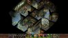 Игра Icewind Dale: Enhanced Edition Русская Версия + Planescape Torment: Enhanced Edition - Коллекционное издание (PS4) Playstation 4