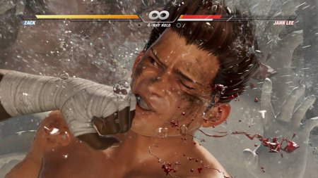 Игра Dead or Alive 6 (VI) Русская Версия (PS4) Playstation 4