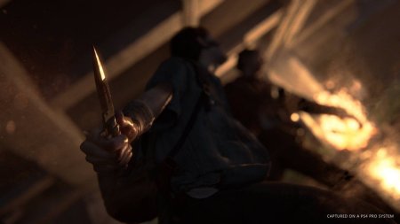Игра Одни из нас 2 (The Last Of Us II) Специальное издание (Special Edition) Русская Версия (PS4) Playstation 4