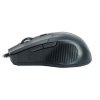 Мышь CBR CM-301, оранжевая (PC) 