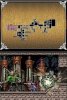 Игра Castlevania: Dawn of Sorrow (DS) для Nintendo DS