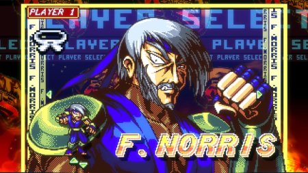 игра Fight'n Rage: 5th Anniversary Ограниченное издание (Limited Edition) (Switch) для Nintendo Switch