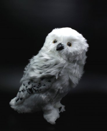    The Noble Collection:  (Hedwig)   (Harry Potter) ()