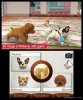 Купить игру Nintendogs + Cats: Карликовый пудель и новые друзья. Русская Версия (Nintendo 3DS) на 3DS