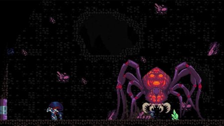 игра Chronicles of 2 Heroes: Amaterasu's Wrath Коллекционное издание (Collector's Edition) Русская Версия (Switch) для Nintendo Switch