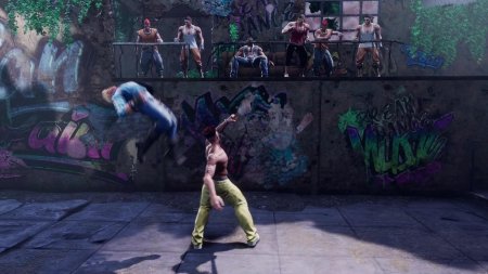 игра Double Dragon Revive Ограниченное издание (Limited Edition) (Switch) для Nintendo Switch