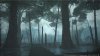 Final Fantasy XIV (14): Stormblood Box (PC) 