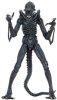  NECA:  (Ultimate Aliens Warrior) (Aliens 1986) blue 20 