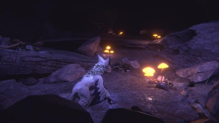 игра Embers of Mirrim (Limited Run) (Switch) для Nintendo Switch