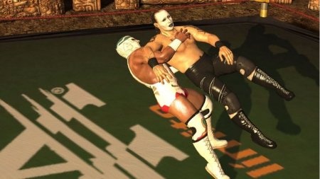   AAA Lucha Libre: Heroes of the Ring (Wii/WiiU)  Nintendo Wii 