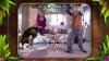 Fantastic Pets для Kinect (Xbox 360) USED Б/У
