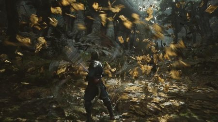 Black Myth: Wukong Deluxe Edition Русская Версия (PS5)