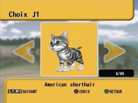 Catz (PS2) USED Б/У