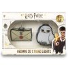   Groovy:    2 (Hedwig and Letter 2D)   (Harry Potter) (922550)