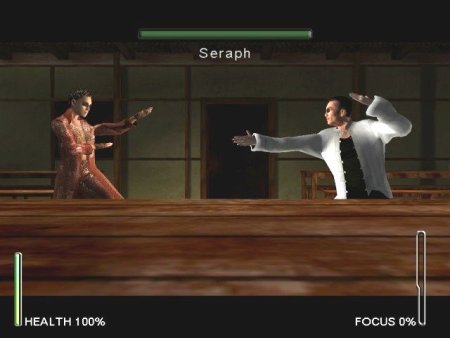 Enter The Matrix (PS2)