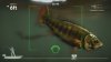 Игра Rapala Fishing Pro Series (PS4) Playstation 4