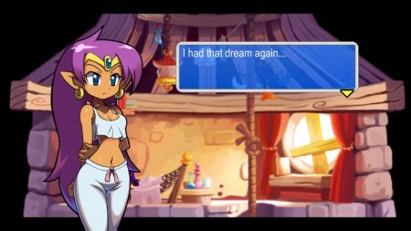 Shantae and the Pirate's Curse (PS5)