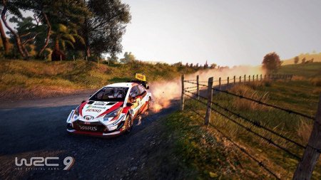  WRC 9: FIA World Rally Championship (PS4) Playstation 4